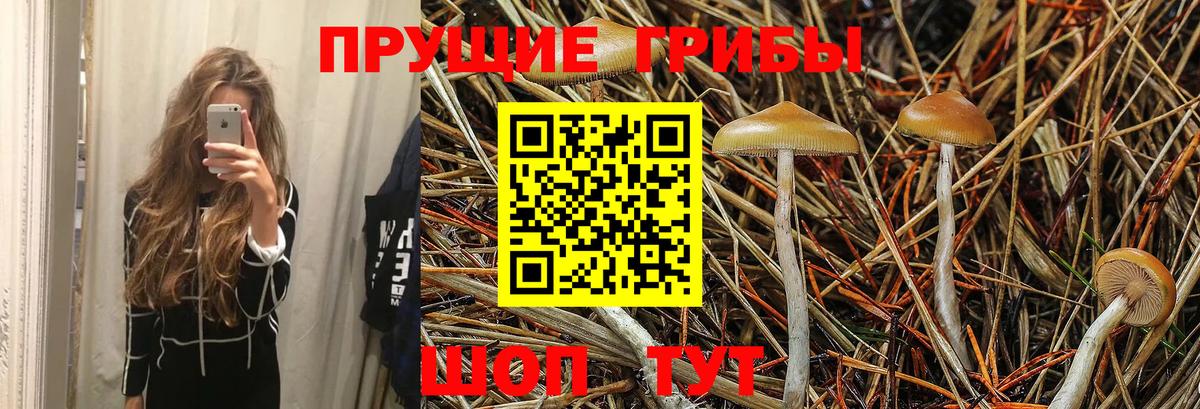 Галлюциногенные грибы MAGIC MUSHROOMS  Вход с VPN  Скопин 