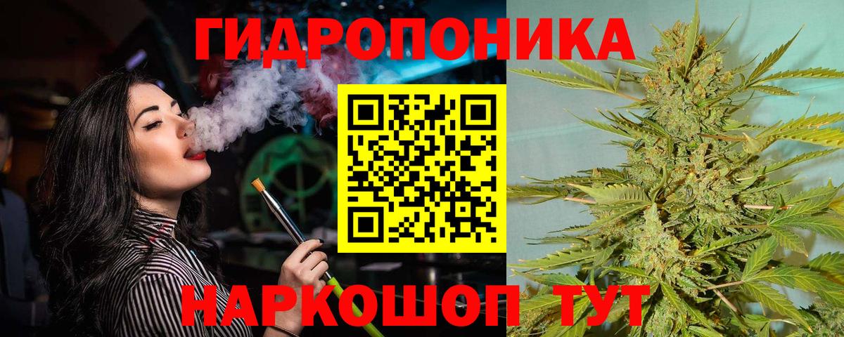 Шишки марихуана планчик Скопин